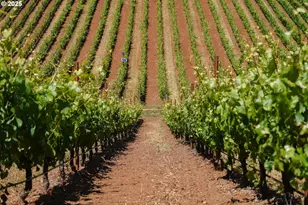 12000 NW Old Wagon Rd, Carlton, OR 97111 - Photo 8