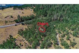 2300 Dry Creek Rd, Mosier, OR 97040 - Photo 4