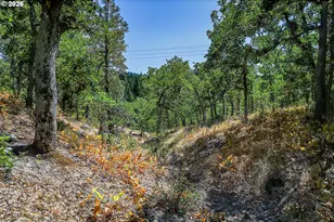 2300 Dry Creek Rd, Mosier, OR 97040 - Photo 26