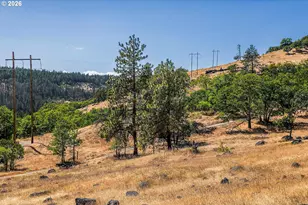 2300 Dry Creek Rd, Mosier, OR 97040 - Photo 38