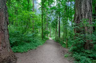 9942 SE Kela Pl, Happy Valley, OR 97086 - Photo 42