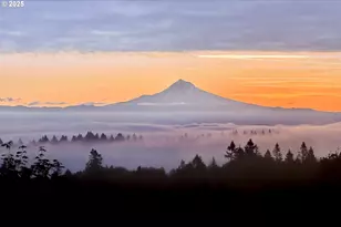 7910 NW Gales Ridge Ln, Portland, OR 97229 - Photo 2