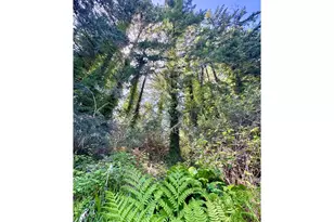 1003 W 12th St, Coquille, OR 97423 - Photo 36