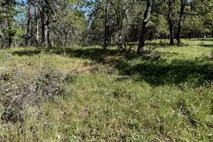 2215 Pine Oak Rd, Mosier, OR 97040 - Photo 30