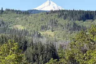 2215 Pine Oak Rd, Mosier, OR 97040 - Photo 4