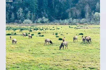 1593 Highway 101, Reedsport, OR 97467 - Photo 14