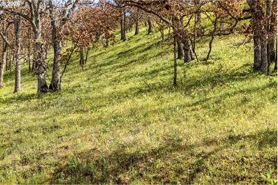 10 Canyon Rd, Lyle, WA 98635 - Photo 30