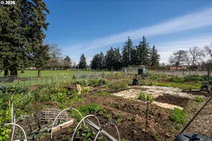 2926 NE 77th Pl, Portland, OR 97213 - Photo 34