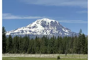 24 Bacon Creek Rd, Glenwood, WA 98619 - Photo 4