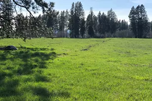 24 Bacon Creek Rd, Glenwood, WA 98619 - Photo 6
