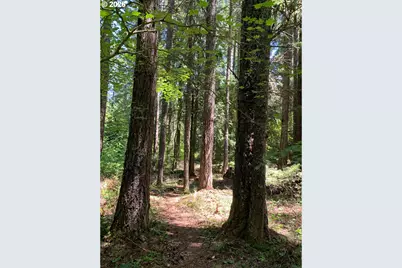 8520 Clear Creek Rd, Mount Hood Prkdl, OR 97041 - Photo 4
