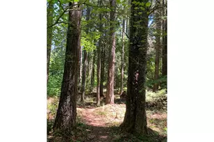 8520 Clear Creek Rd, Mount Hood Prkdl, OR 97041 - Photo 4
