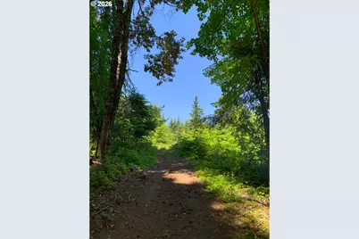 8520 Clear Creek Rd, Mount Hood Prkdl, OR 97041 - Photo 24