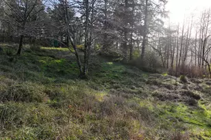 17360 Mountain Dr, Brookings, OR 97415 - Photo 32