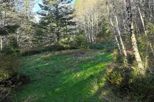 17360 Mountain Dr, Brookings, OR 97415 - Photo 28