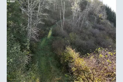 17360 Mountain Dr, Brookings, OR 97415 - Photo 26