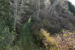 17360 Mountain Dr, Brookings, OR 97415 - Photo 26