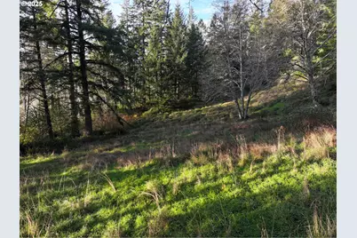 17360 Mountain Dr, Brookings, OR 97415 - Photo 30