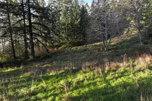 17360 Mountain Dr, Brookings, OR 97415 - Photo 30