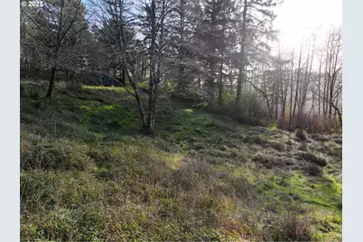 17360 Mountain Dr, Brookings, OR 97415 - Photo 32