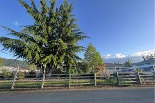 10 SW Peach Ln, Winston, OR 97496 - Photo 2