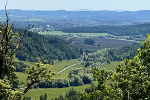 11890 SW Dupee Valley Rd, McMinnville, OR 97128 - Photo 40