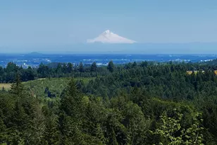 11890 SW Dupee Valley Rd, McMinnville, OR 97128 - Photo 34