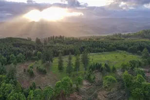 11890 SW Dupee Valley Rd, McMinnville, OR 97128 - Photo 8