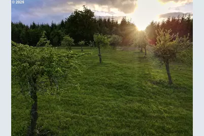 11890 SW Dupee Valley Rd, McMinnville, OR 97128 - Photo 46