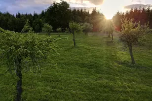 11890 SW Dupee Valley Rd, McMinnville, OR 97128 - Photo 46