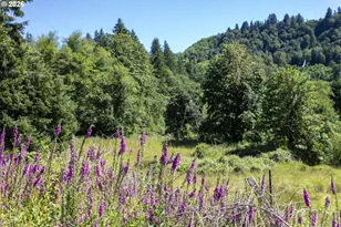81165 81167 Lower Nehalem Rd, Elsie, OR 97138 - Photo 46