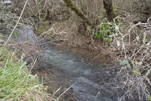 26630 SW Thomson Mill Rd, Sheridan, OR 97378 - Photo 36