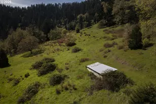 1349 Willis Creek Rd, Winston, OR 97496 - Photo 46