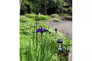 2311 Douglas Dr, Eugene, OR 97405 - Photo 44