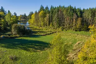 4751 NE Henry Creek Rd, Dayton, OR 97114 - Photo 16