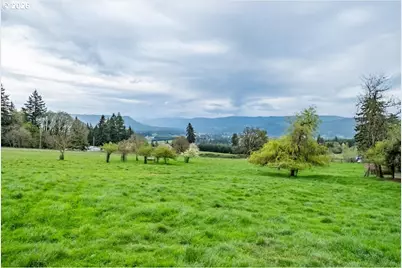 26520 Fern Ridge Rd, Sweet Home, OR 97386 - Photo 4