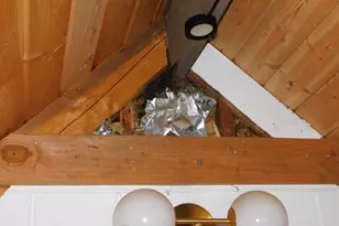 71267 Northshore Dr, Birkenfeld, OR 97016 - Photo 24