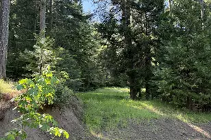 440 Forest Dr, Azalea, OR 97410 - Photo 22