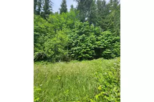 14621 Hwy 36, Deadwood, OR 97430 - Photo 14