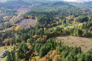 56220 SW Lee Falls Rd, Gaston, OR 97119 - Photo 38