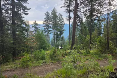 Chipmunk Lane, Wallowa Lake, OR 97846 - Photo 1