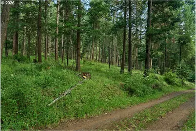 Chipmunk Lane, Wallowa Lake, OR 97846 - Photo 2