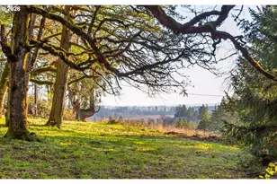 4210 NE Breyman Orchards Rd, Dayton, OR 97114 - Photo 36