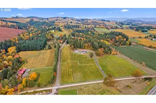 4210 NE Breyman Orchards Rd, Dayton, OR 97114 - Photo 44