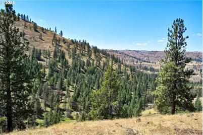 47345 Ritter Rd, Ritter, OR 97856 - Photo 40