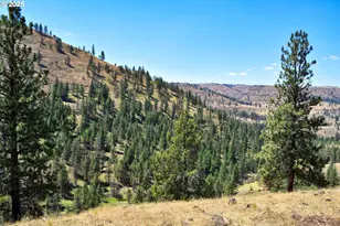 47345 Ritter Rd, Ritter, OR 97856 - Photo 40