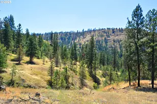 47345 Ritter Rd, Ritter, OR 97856 - Photo 38