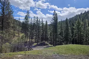 47345 Ritter Rd, Ritter, OR 97856 - Photo 32