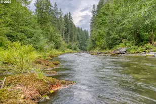 202 Edgewater Dr, Carson, WA 98610 - Photo 34