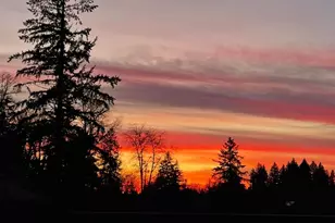 8000 NE 211th Ave, Vancouver, WA 98682 - Photo 4